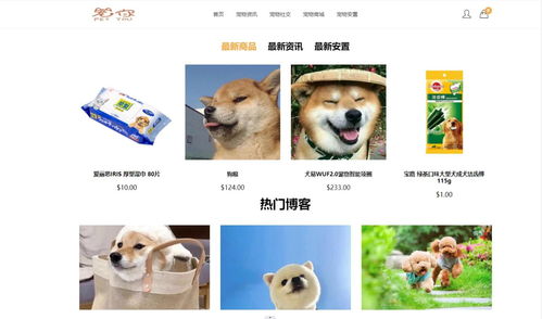 寵物服務(wù)網(wǎng)站的設(shè)計與實(shí)現(xiàn)